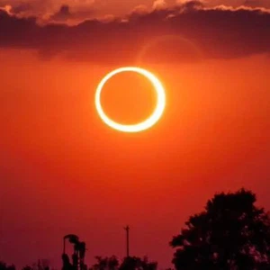 جمعية المبادرة المغربية للعلوم والفكر: الأرض تودع 2019 بكسوف حلقي يوم 26 دجنبر