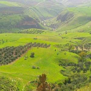 The best places to visit in Jordan during the spring season
