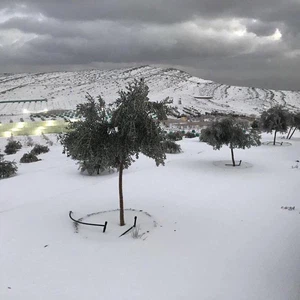 بالصور والفيديو | مشاهد فريدة لثلوج جبل جيس في الإمارات فجر اليوم  