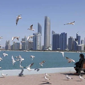 Emirates | Possible thunderclouds in the east and chances of fog in the coming days