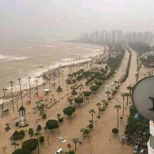 After Sudan, the rain floods Algeria and sweeps away vehicles