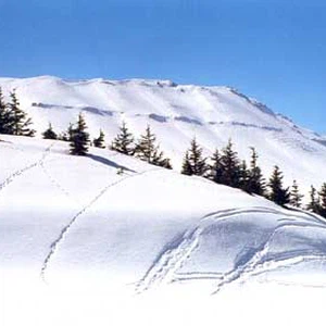 ما هي المؤشرات الأولية لطقس بداية العام الجديد في لبنان ؟