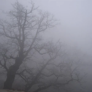 ضباب متوقع على الجبال الجنوبية والسهول الشرقية ليلاً وحتى ساعات صباح الأحد المتاخرة 