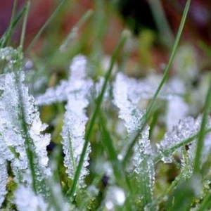 Arabie Saoudite | Les températures basses ce soir sont d'environ 5 degrés Celsius et peut-être plus basses à Hafar Al-Batin et dans les parties intérieures de la province orientale et du Quartier Vide.