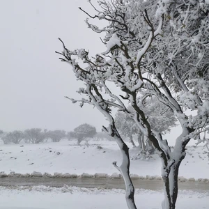  بالفيديو والصور | الجنوب يشهد الثلجة السادسة هذا الشتاء... شاهد  
