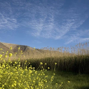 ارتفاع ملموس وتدريجي على درجات الحرارة خلال الأيام القليلة القادمة