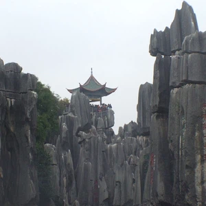 غابات الحجارة في الصين شيلين.. غابات الحجارة المدهشة في الصين