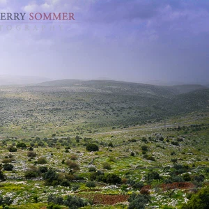 ذروة الموجة الحارة يومي الاثنين والثلاثاء، وتنحسر تدريجياً الأربعاء والخميس