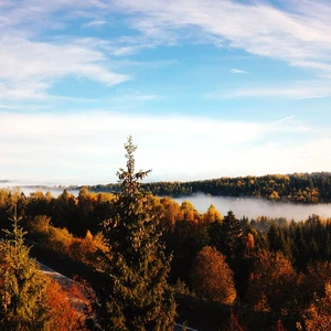 طرق طبيعية للتغلب على الاكتئاب في الخريف 