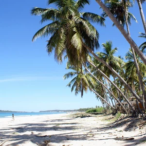 أفضل خمسة شواطئ في سريلانكا