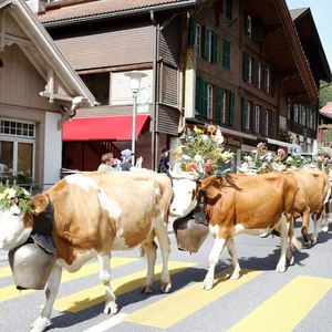 Wengen.. A wonderful date for this fall in the most beautiful Swiss village
