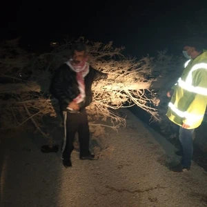 Due to strong winds Trees fall and fences crumble