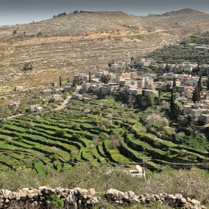 Why%20is%20Palestinian%20Battir%20called%20the%20bird%20house%20arabia%20weather..PNG&size=800x450&force_webp=1