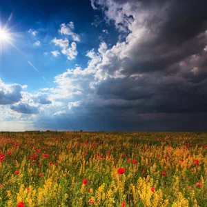 النشرة الجوية الأسبوعية .. أجواء باردة في مختلف المناطق وتجدد فرص الأمطار في النصف الثاني من الاسبوع