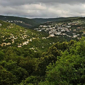 طقس الإثنين: أجواء ضبابية صباحاً وباردة مستقرة بقية اليوم