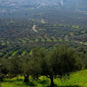 حالة الطقس ودرجات الحرارة العظمى والصغرى ليوم الخميس 21/2/2019