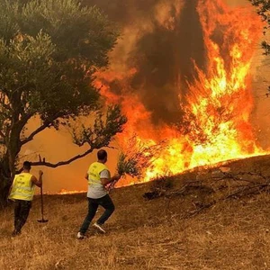 حرائق الغابات تتسبب بمقتل 15 شخص على الأقل في الجزائر