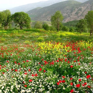 The month of April, `April` in the collective heritage of the Arab East