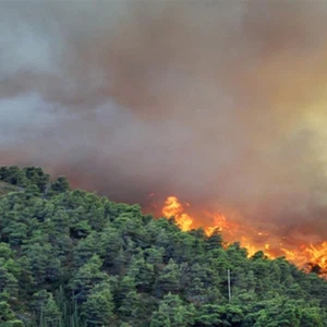 اليونان.. إعلان الطوارئ في جزيرة خيوس بسبب الحرائق