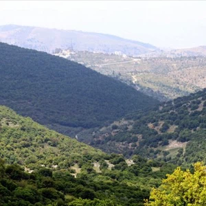 طقس الثلاثاء: أجواء صيفية اعتيادية إلى حارة نسبياً