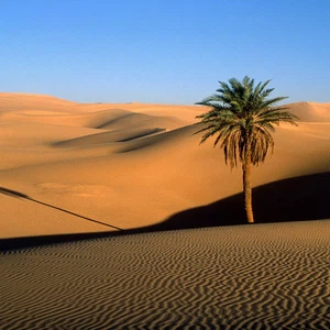حرارة الاجواء جاءت في غير وقتها المعتاد