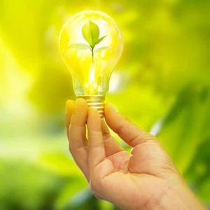 And We Go Green: ديكابريو يلفت أنظار العالم إلى ظاهرة الاحترار العالمي في مهرجان كان!