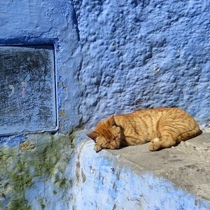 Photo tour of the blue city, Chefchaouen