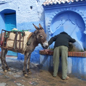 Tour photo de la ville bleue, Chefchaouen