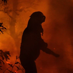 Raging forest fires kill 13 people in Chile and devour dozens of homes