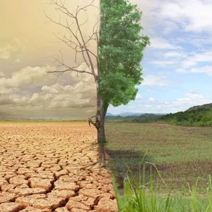 World Day to Combat Desertification and Drought under the slogan ...