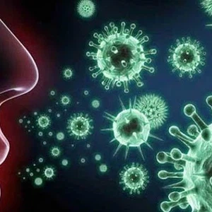 Comment restaurer l'odorat et le goût après une infection par le virus Corona