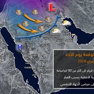 الأحد .. موجة غبارية متوقعة على المنطقة الشمالية
