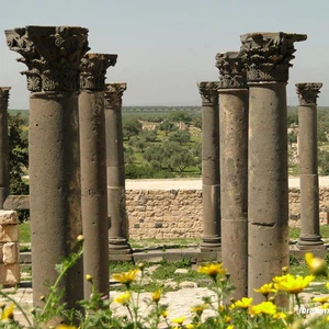 مدينة جدارا ( أم قيس – شمال الأردن ) تشهد نشاطا في السياحة الثقافية 