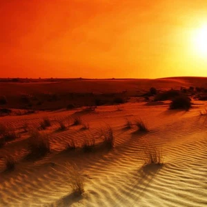 الرياض: أجواء حارة ومرهقة الأسبوع القادم 