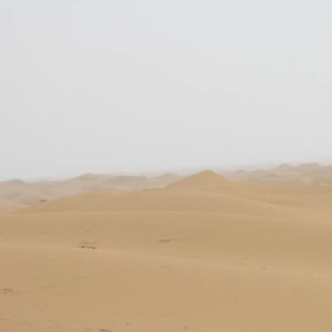 اجواء صحراوية قاسية