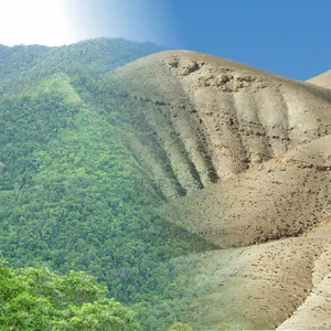 كيف يؤثر الغطاء النباتي والمائي على درجات الحرارة؟