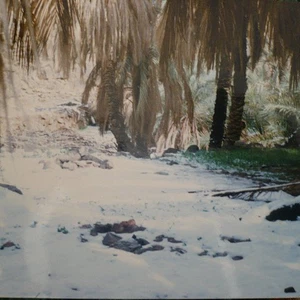 video | Al-Dawadimi under the snow .. Real rare scenes of the snow of the year 1413 AH