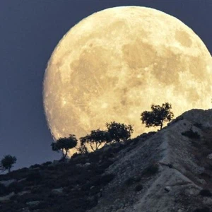 The supermoon graces the skies of the Arab world tonight... the last of the remarkable phenomena of 2025
