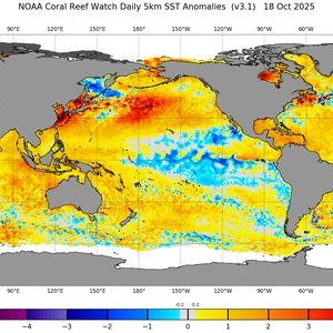 Arabie Saoudite | Le phénomène croissant de La Niña annonce-t-il de fortes vagues de froid cet hiver ?
