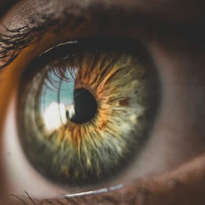 What are the diseases that affect the eye in winter? What are the methods of prevention ?