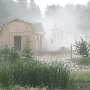 ماذا يعني مصطلح الرطوبة النسبية؟