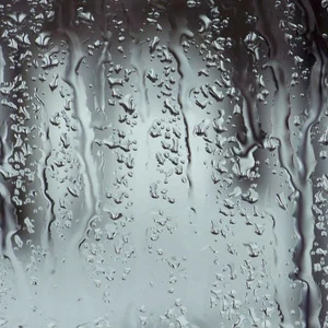 Jordan Updated 7:00 AM | Thick fog and rain of varying intensity now in several regions of the Kingdom coinciding with the time to go to work and schools.