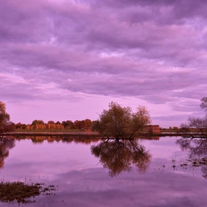 الذكاء الاصطناعي يُتيح فرصًا جديدة لمكافحة التغير المناخي الذكاء الاصطناعي يُتيح فرصًا جديدة لمكافحة التغير المناخي