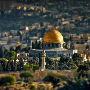أجواء مُستقرة وأقرب للربيعية حتى الثلاثاء