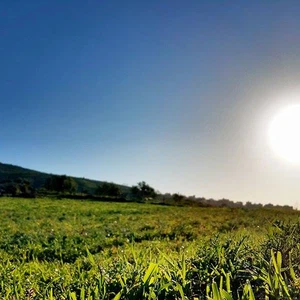 اشتداد الأجواء الحارّة يومي الاثنين والثلاثاء