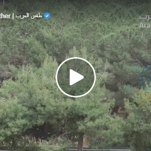 The arrival of dense swarms of locusts to the capital, Amman, and the effect of winds on their movement