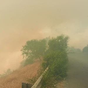 Urgent | La Défense Civile a réussi à contrôler un grand incendie sur Jerash Road طريق