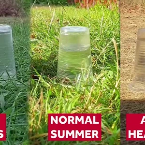 This is a simple experiment that explains why flash floods occur when it rains after a dry period