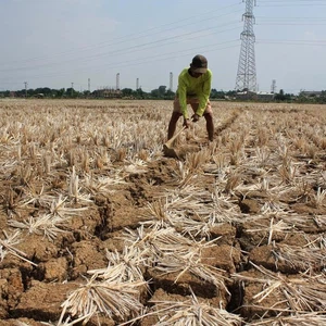 انتهاء أقوى ظاهرة نينيو منذ نحو 20 عاما