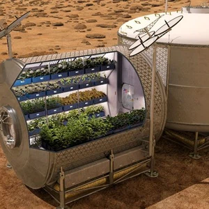 ناسا تريد زرع البطاطا على المريخ 